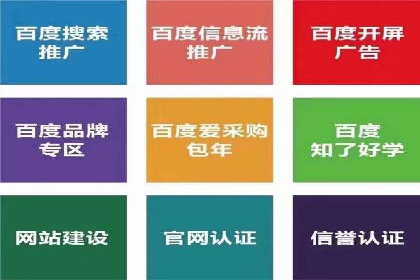 搜索引擎营销（SEM）广告投放的五大成功案例